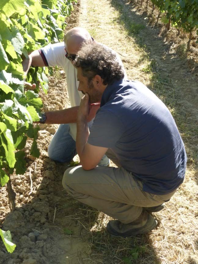 locci al fianco degli agricoltori